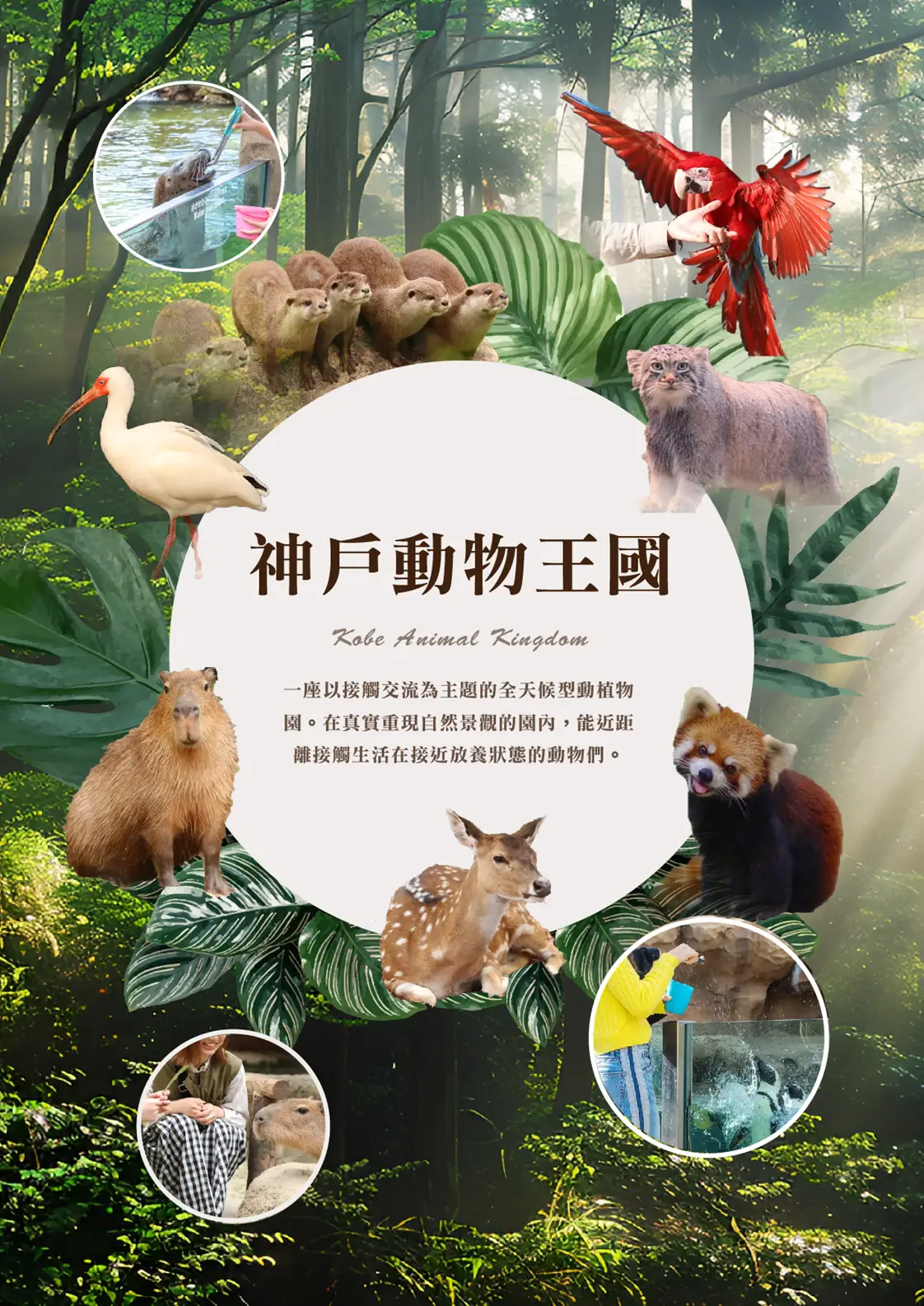 行程特色圖片