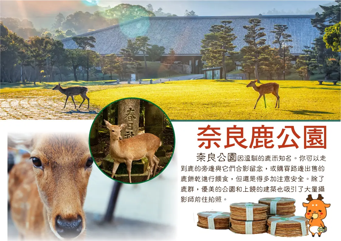 行程特色圖片