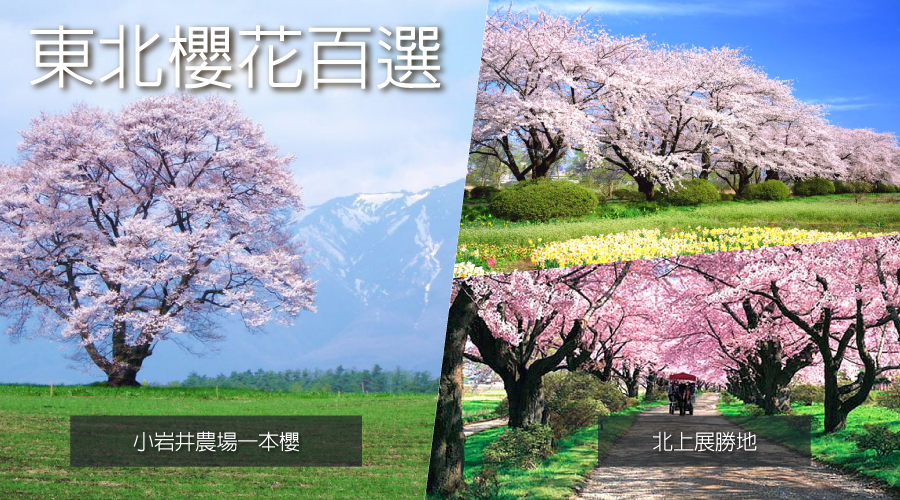 行程特色圖片