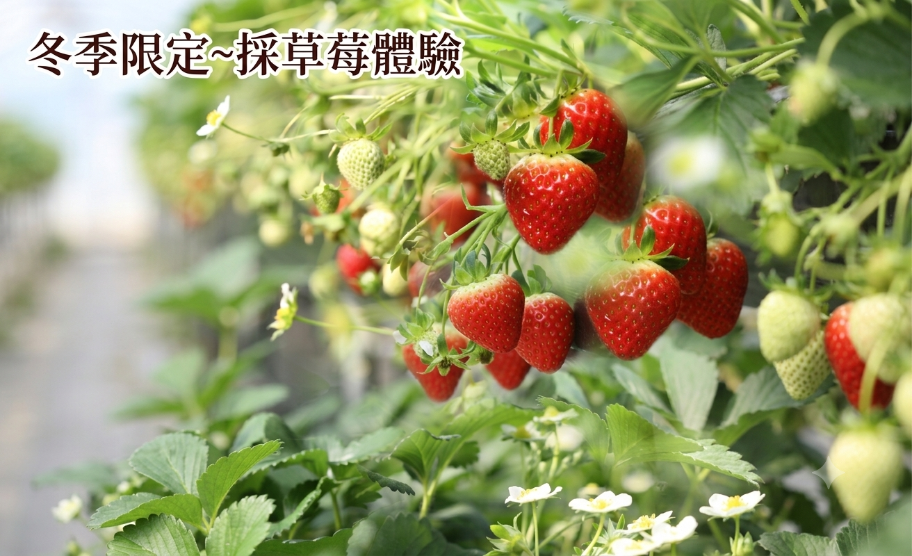 行程特色圖片