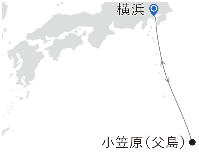 郵輪航線圖
