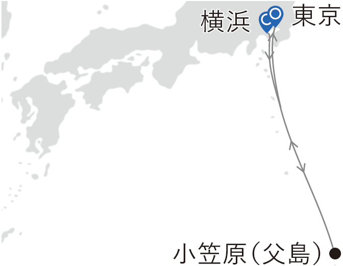 郵輪航線圖