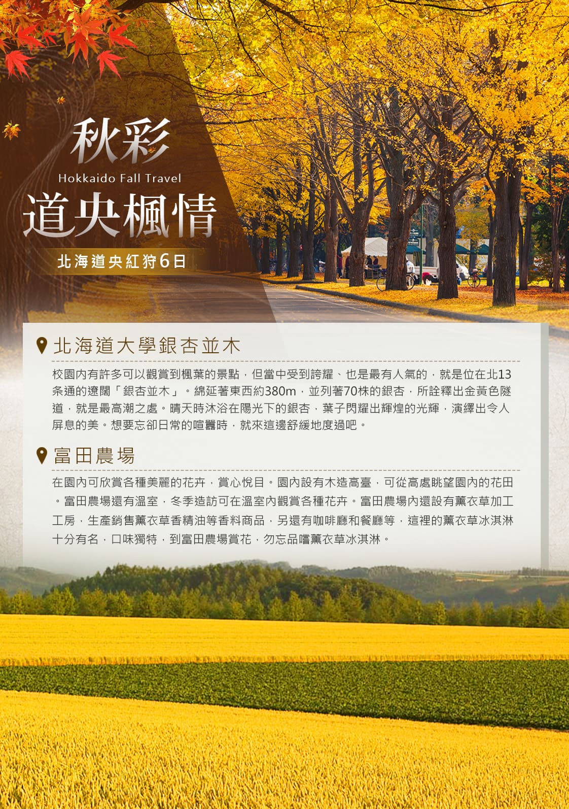 行程特色圖片